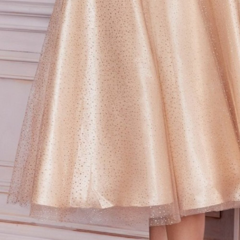 NEW MIDI FLORAL TULLE EMBROIDERED DRESS WITH PUFF SLEEVES AND ZIPPER BACK CD0187 - Picture 11 of 11